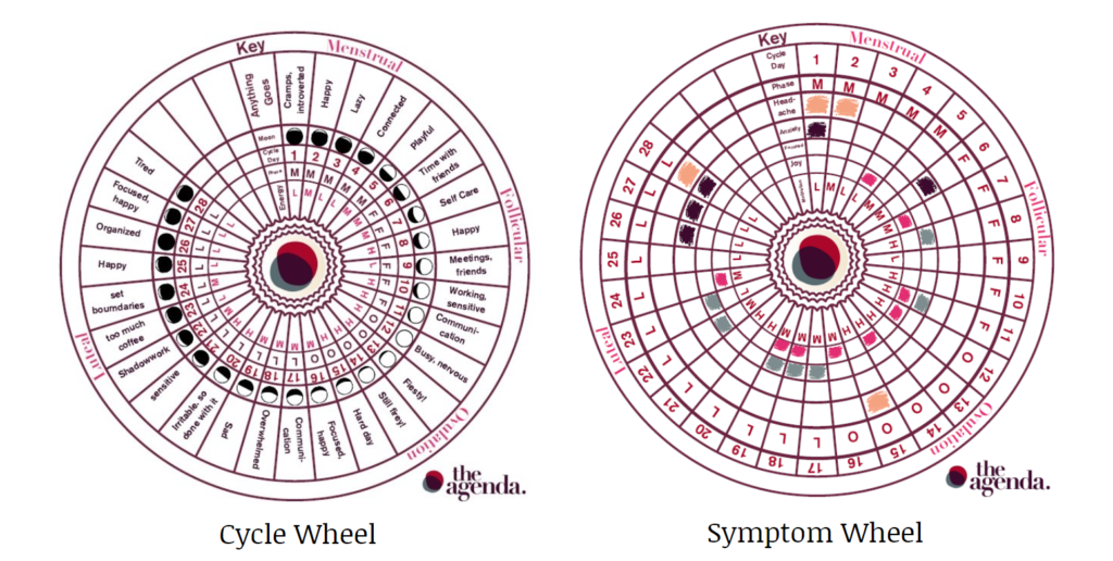 Sample Cycle Wheel and Symptom Wheel... tools for daily menstrual cycle tracking