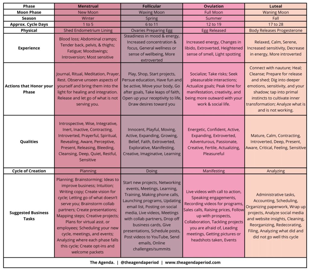 Chart of the four phases of the female cycle. See below for text version.