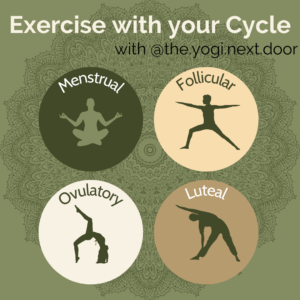 Exercise with your cycle - menstrual, follicular, ovulatory, luteal