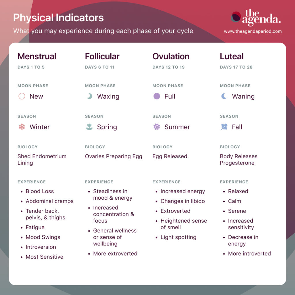 A list of all the physical indicators you may experience during each phase of your menstrual cycle