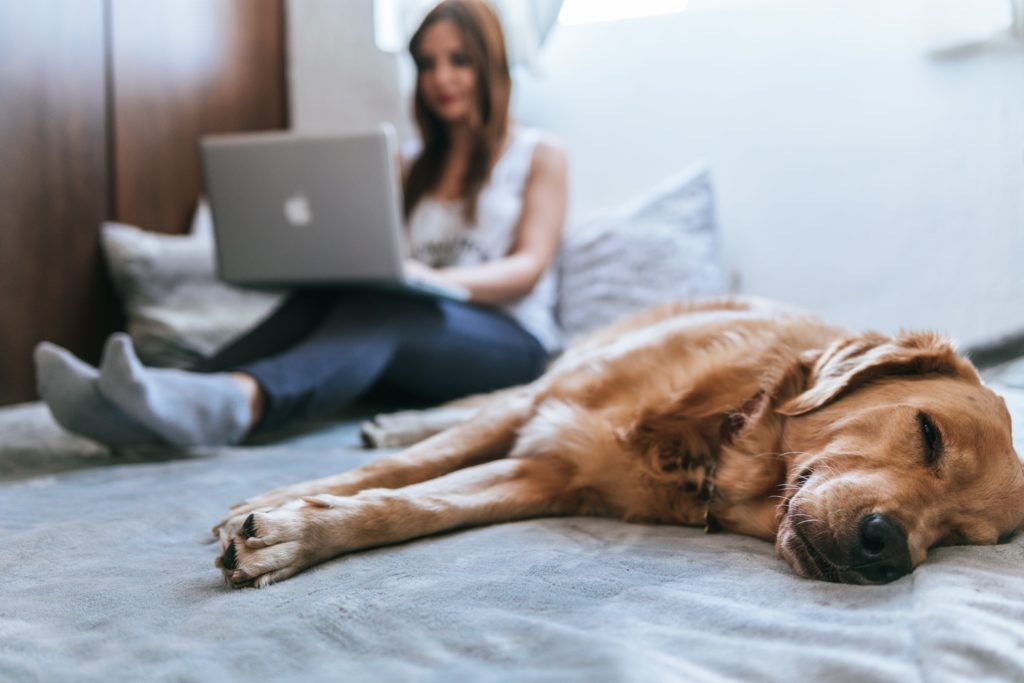 Photo by BRUNO EMMANUELLE on Unsplash How to work when you are on your period.