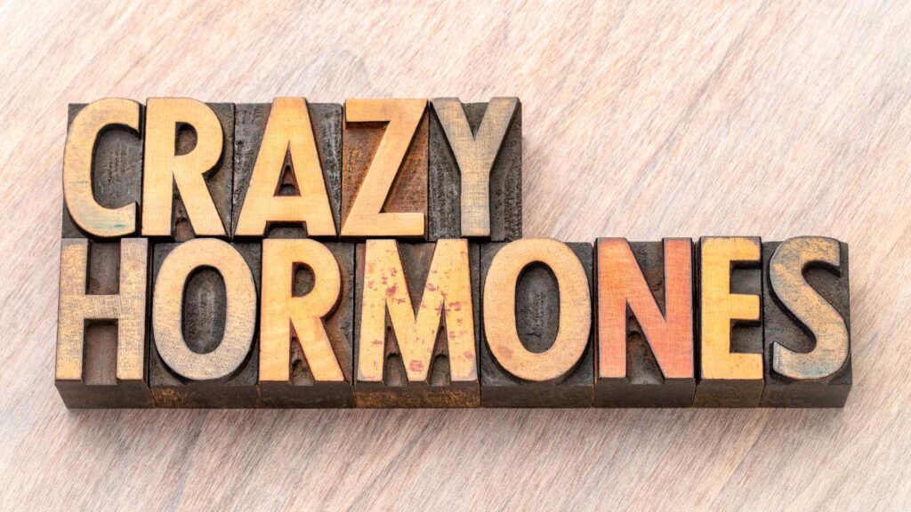 hormones and menstruation are intertwined. Check out this blog to read more!